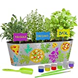 Paint & Plant Pizza Herb Growing Kit for Kids - STEM Activities Gift for Children, Boys & Girls Age 6-12 Year Old Gifts & Toys - Crafts for Girl Ages 6, 7, 8, 10-12 Years - Basil, Oregano, Arugula