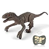 Little Golden Elephant Remote Control Dinosaur Toys, Walking Robot Dinosaur w/ LED Light Up & Roaring 2.4Ghz Simulation Velociraptor RC Dinosaur Toys Gifts for Boys & Kids 5-7 (Gray)