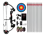 PANDARUS Compound Bow Archery for Youth and Beginner, Right Handed,19”-28” Draw Length,15-29 Lbs Draw Weight, 260 fps (Black)
