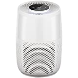 Instant HEPA Air Purifier for Home Allergens & Pet Danders, Removes 99.9% of Dust, Smoke, & Pollen with Plasma Ion Technology, AP 100 Pearl