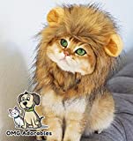 Lion Mane Costume for Cat (Cat) - Halloween Special