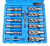 Accusize Industrial Tools 13 Pc 7/16'' to 1-1/16'' H.S.S. Annular Cutters, 2'' Cutting Depth, 3/4'' Weldon Shank, with 2 Pilot Pins, Strong Case, N2