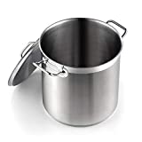 Cooks Standard Professional Stainless Steel Stockpot, 11 Quart, Silver