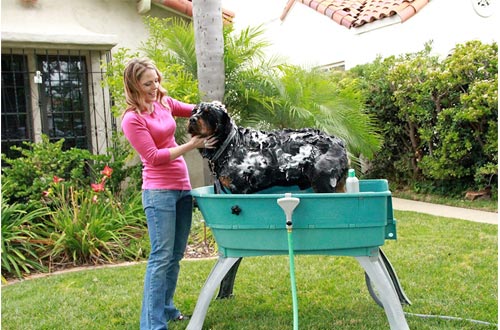 Booster Bath Elevated Pet Bathing