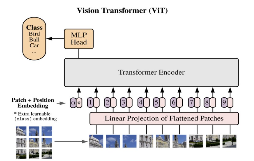 ViT---Vision-Transformer