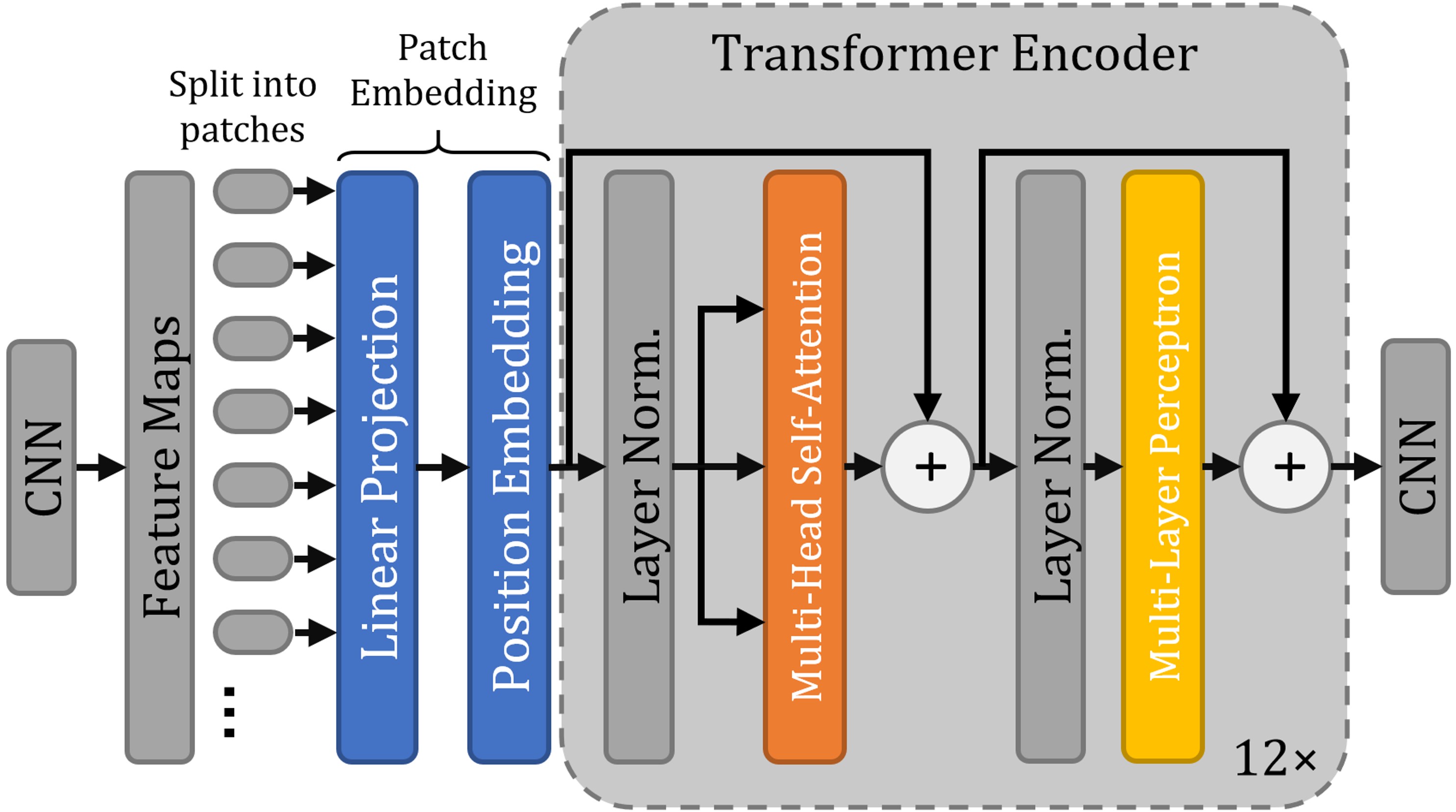 Архитектура сети Transformer. Transformer Network image. Yollo eith spatial Transformer Networks.