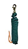 Kensington Ballistic Nylon Clinician Training Lead - 15' ft Training Lead - Tear-Resistant, with Metal Hardware to Keep Lead Fastened - Heavy Duty Braided Lead with Quick Swivel Snap - Hunter