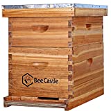 10-Frames Complete Beehive Kit, 100% Beeswax Coated Bee Hive Includes Frames and Beeswax Coated Foundation Sheet (2 Layer)
