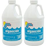 In The Swim Specialty Pool Products ITS Algaecide 2 x 1/2 Gallon F041001002AE