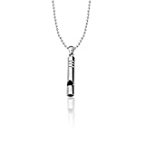 HOLLP Coach Whistle Necklace Emergency Survival Whistle Referee Whistle Whistle Necklace for Sports Training Pets Training Coaches Referees Lifeguards Camping Hiking (Ball chain Necklace)