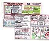 NRP (Neonatal Resuscitation Program) SURVIVAL CARD Quick Reference Guide (Small 3 x 4 3/8 in., Badge/ID Size) - Laminated with hole punched - Water Resistant