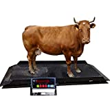PEC Large Livestock Scales, Vet Animal Weighing Equipment with Two Ramps, 4000 x 1 lb Capacity for Cows, Cattle, Horses, Goats, Sheep, Pigs