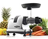 Omega Juice Extractor and Nutrition System Quiet Motor Slow Masticating Dual-Stage Extraction with Adjustable Settings, 200-Watt, Metallic