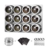 HEFANTU 12 Magnetic Spice Tins with Spice Racks Wall Mount & 120 Spice Labels, Storage Magnet Spice Containers, Clear Lid with Sift and Pour(Spices Not Included)(silver)