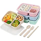 4 Pack Bento Lunch Box，3-Compartment Meal Prep Containers，Lunch Box for Kids，Durable BPA Free Plastic Reusable Food Storage Containers - Stackable, Suitable for Schools, Companies,Work and Travel