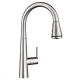 American Standard 4932300.075 Edgewater Pull-Down Kitchen Faucet with SelctFlo in Stainless Steel