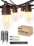 addlon 100FT 2-Pack Outdoor String Lights with Commercial Grade LED Dimmable Edison Vintage Shatterproof Bulbs, Heavy-Duty and Weatherproof Strand UL Listed Decorative for Cafe, Patio, Market, Tree