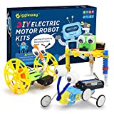 Giggleway Electric Motor Robotic Science Kits, DIY STEM Toys for kids, Building Science Experiment Kits for Boys and Girls-Doodling, Balance Car, Reptile Robot (3 kits)