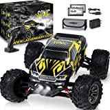 LAEGENDARY RC Cars - Off Road Remote Control Car for Adults & Kids, Waterproof All Terrain 4x4 Truck w/ 2 Batteries - 1:16 Scale, Brushed, Black - Yellow
