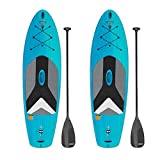 Lifetime 91014 Horizon 100 Stand-Up Paddleboard, 2 Pack, Paddles Included, 10 feet