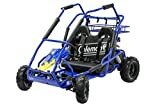 Coleman Powersports Off Road Go Kart, Gas Powered, 196cc/6.5hp, Blue (KT196-BL)