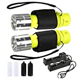 HECLOUD Diving Flashlight with Rechergeable Power Scuba Dive Light Torch IPX8 Waterproof Snorkeling Diving LED Underwater Lights,High Lumens,3 Modes with Charger for Underwater Sports(2Pack)