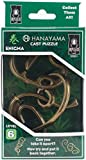 Bepuzzled ENIGMA Hanayama Cast Metal Brain Teaser Puzzle (Level 6) Puzzles For Kids and Adults Ages 12 and Up, Multi
