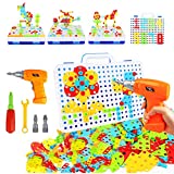 HAPTIME STEM Learning Toys, Construction Engineering Building Block Games with Toy Drill & Screw Driver Tool Set (237 Drill Puzzles)