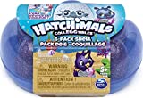 Hatchimals CollEGGtibles, Mermal Magic 6 Pack Shell Carrying Case with Season 5 Hatchimals CollEGGtibles, for Kids Aged 5 and Up (Color May Vary)