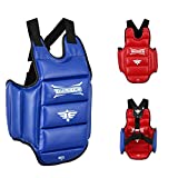 Twister Reversible(Blue/RED) Chest Guard Protector for Boxing Karate Taekwondo Muay Thai (Small)