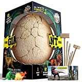 XXTOYS Dino Egg Dig Kit Dinosaur Eggs Jumbo Dino Egg with 12 Different Dinosaur Toys Dino Egg Kit for Kids with 6 Digging Tools Party Archaeology Paleontology Educational Science Gift for Age 3-5
