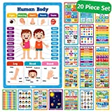 20 Classroom Educational Posters For Preschoolers Toddlers Kindergarten Elementary - 16' x 11' - 20pcs - Learning Posters For Toddlers Wall Preschool Kindergarten Kids Posters Classroom Supplies Decor