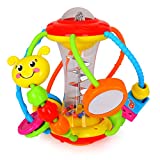 HOLA Baby Toys 6 to 12 Months, Baby Rattles Activity Ball, Shaker, Grab and Spin Rattle, Crawling Educational Toys for 3, 6, 9, 12 Months Baby Infant, Boys, Girls