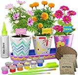 Paint & Plant Stoneware Flower Gardening Kit - Gifts for Girls & Boys Ages 4-12 - Kids Arts & Crafts Project Science Birthday Gift, STEM Activity for Age 4, 5, 6, 7, 8, 9, 10, 11 & 12 Year Old Girl