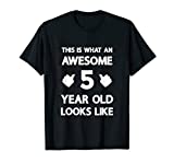 This is What an Awesome 5 Year Old Looks Like Bday Kids Gift T-Shirt