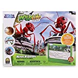 Uncle Milton Ant Farm Antopia Rainforest Ant Habitat - Observe Live Ants - Nature Learning Toy Green