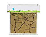 AntHouse - Natural Sand Ant Farm | Acrylic T Big Kit 9.84x7.87x0.59 in