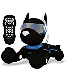 LEXiBOOK Power Puppy - My Smart Robot Dog - Programmable Robot with Remote Control, Training Function, Dances, Sings, Light Effects, Rechargeable Battery, Children's Toy - DOG01BK