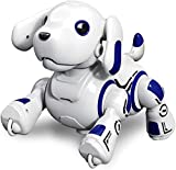 Hi-Tech Remote Control Robot Dog Toy for Kids 4 5 6 7 8 9 10 11 12, RC AI Robo Wireless Interactive Puppy Electronic Pets Gifts Toys Programmable Voice Music Dance Patrol Dogs for Toddlers Boys Girls