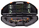 10 Best Bow Cases