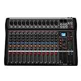 Depensheng DX12 DJ Sound Controller Interface w/ USB Drive for Computer Recording 12-Channel Studio Audio Mixer - XLR Microphone Jack, 48V Power, RCA Input/Output for Professional and Beginners
