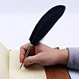 Feather Ballpoint Pen ，Black Ink Vintage Feather Quill Refined Plated Rod Quill Ballpoint Pen For School Writing ▏Wedding Gift Signature Pen (Black)