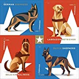 Military Working Dogs U.S. Postage Stamps Sheet of 20 Forever Postage Stamps Scott 4508B
