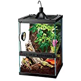 Zilla Tropical Vertical Habitat Starter Kit for Small Tree Dwelling Reptiles & Amphibians Like Geckos and Frogs