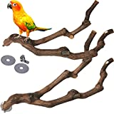 kathson Natural Parrot Perch Bird Stand Pole Wild Grape Stick Paw Grinding Fork Parakeet Climbing Standing Branches Toy Chewable Cage Accessories for Small Budgies Cockatiels Lovebirds 2PCS