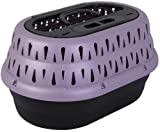 Petmate Top Load Pet Carrier for Cats, 19 Inches Long, Holds Pets Up to 10 Pounds, Purple