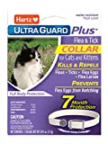 Hartz UltraGuard Plus Water Resistant 7 Month Protection Breakaway Flea & Tick Collar for Cats (3270094268)