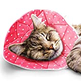SunGrow Cat Cone Collar Soft, Stop Licking E Collar for Recovery, Fits 7 to 9 Inches Neck Circumference, Post Surgery Stress Relieving with Adjustable Strap Enclosures, Pink Color