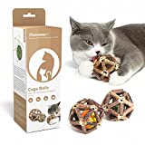 Potaroma Cage Balls, 3Pcs Natural Silvervine Stick Catnip Toys with Catnip Ball Gall Fruit & Bell Ball, Cat Toys for Cats Cleaning Teeth, Matatabi Cat Chew Toy for Kitten Lick